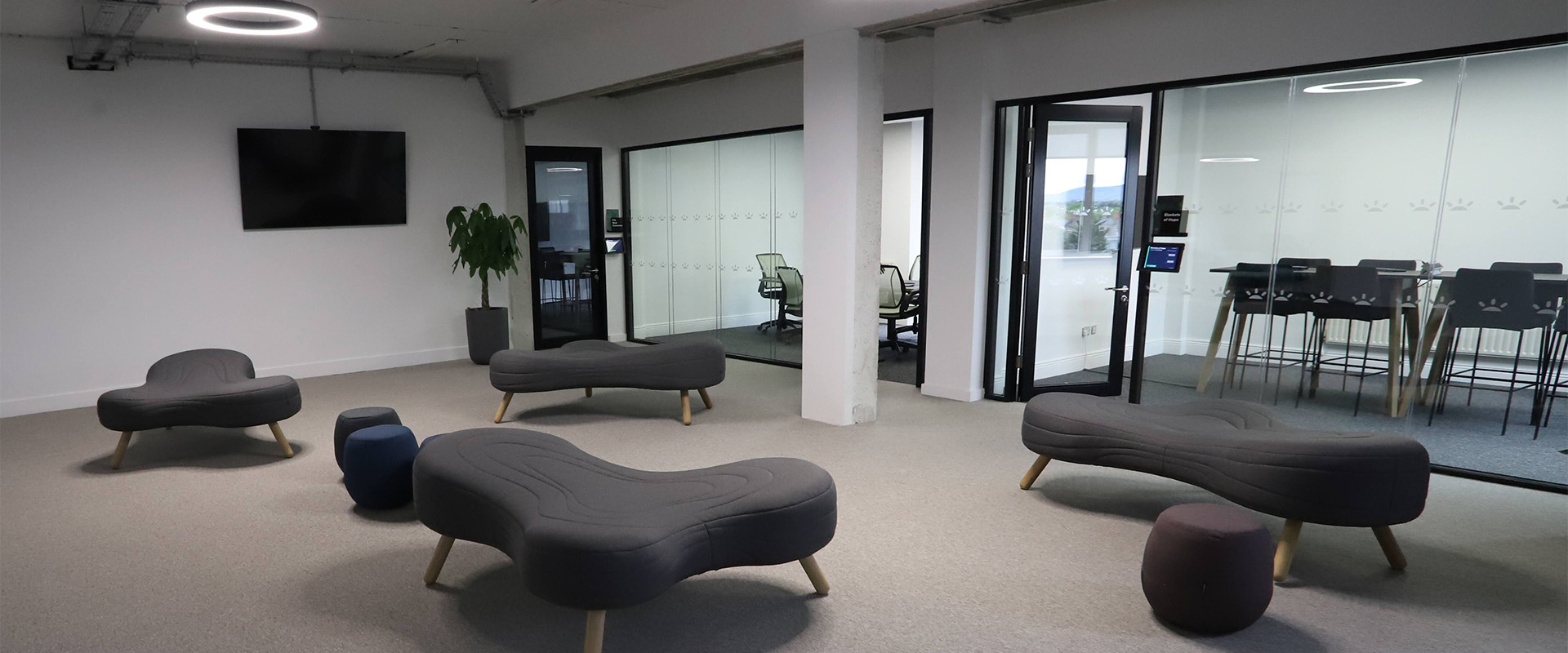 Gofundme european head office in shelbourne house, dublin