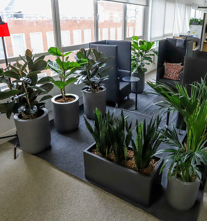 GoFundMe | iGate Interiors