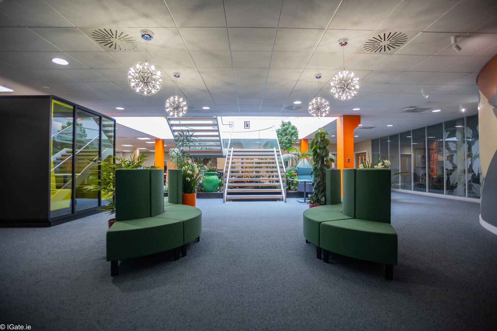 What Is Biophilic Office Design?
