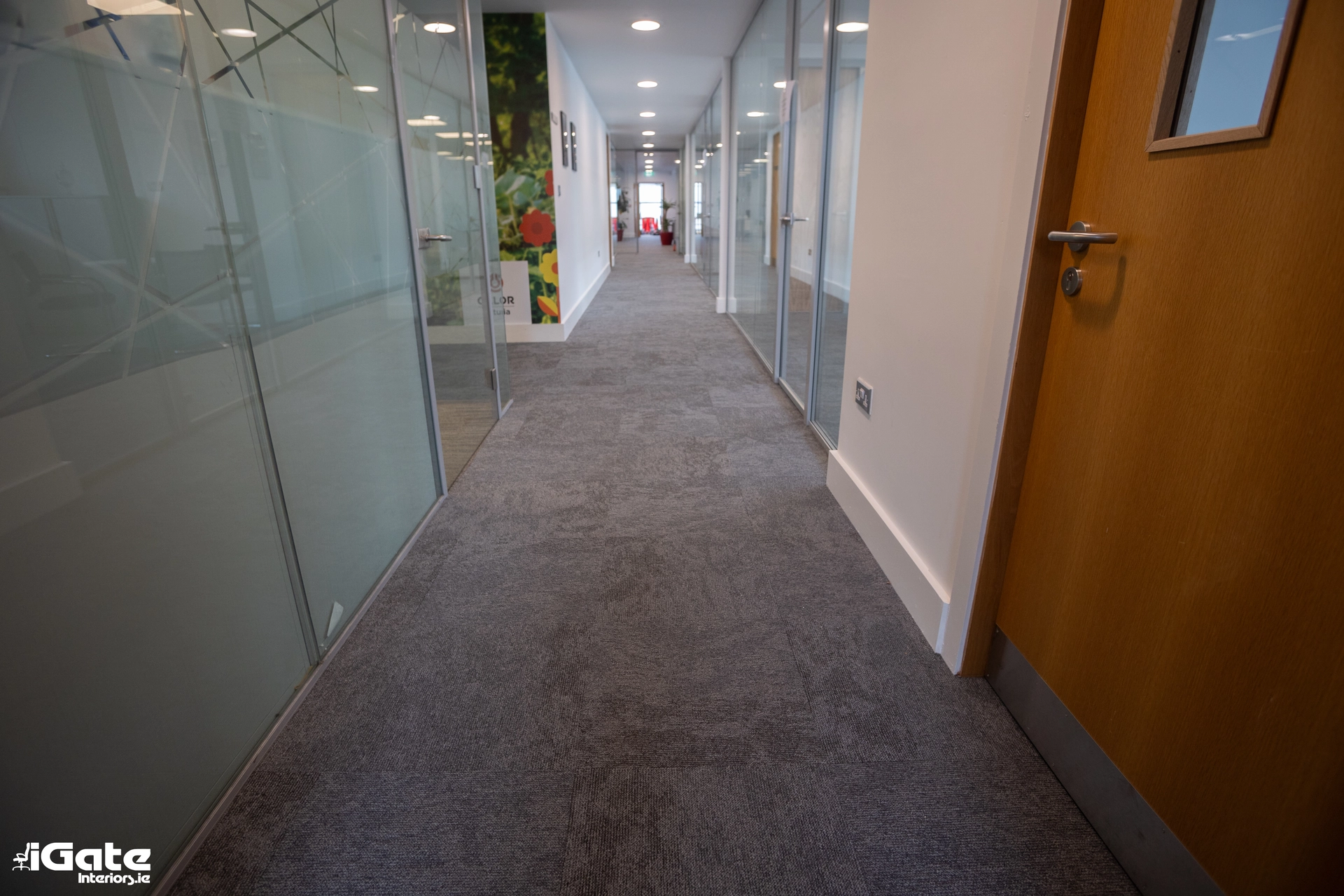 Office Carpet Tiles: Are They the Best Flooring Choice for Your Workplace?