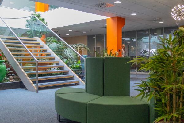 Workplace wellbeing office design with biophilic planting, soft seating and collaborative breakout spaces.
